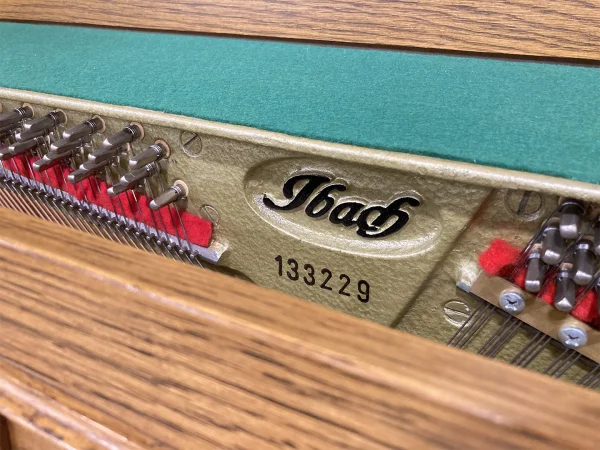 Alternative view of Ibach Rustik 133229