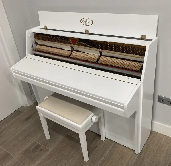 Alternative view of Schimmel 103-M 184539