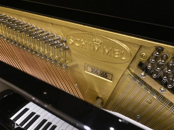 Alternative view of Schimmel 356555