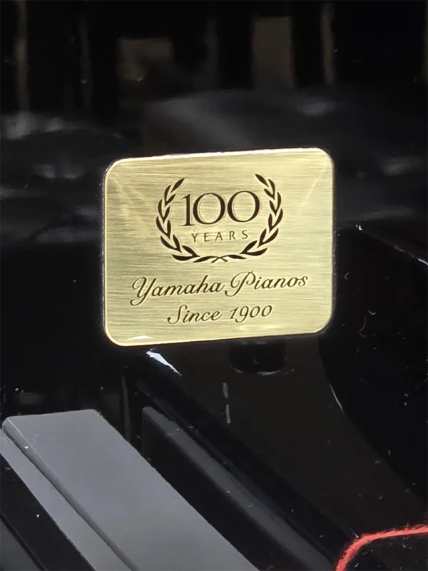 Alternative view of Yamaha A1 5871372